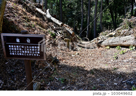 竹中半兵衛の美濃「菩提山城」 遺構と廓群 竹中半兵衛の美濃「菩提山城」 遺構と廓群 103049602