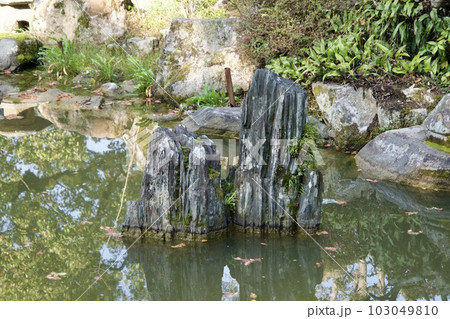 日本庭園の池にある岩の写真素材 [103049810] - PIXTA