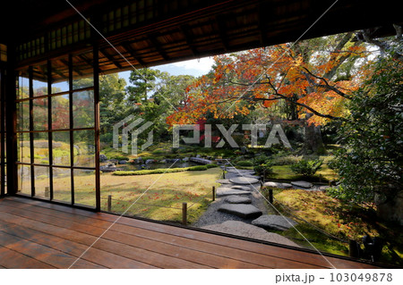 京都無鄰菴の美しすぎる日本庭園の紅葉 103049878