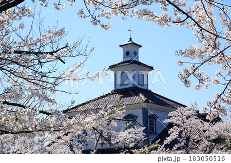 鶴岡の知同博物館 103050516