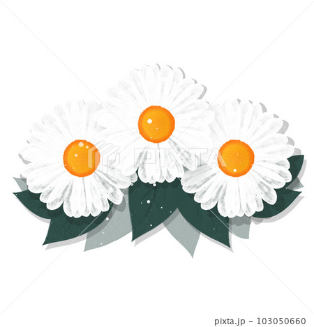 Flower Flower 103050660