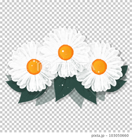 Flower Flower 103050660