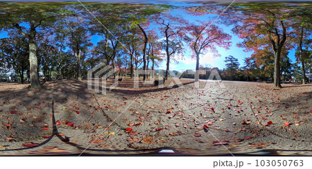 秋の紅葉が咲く季節に撮影した360度(360°VR素材) 秋の紅葉が咲く季節に撮影した360度(360°VR素材) 103050763