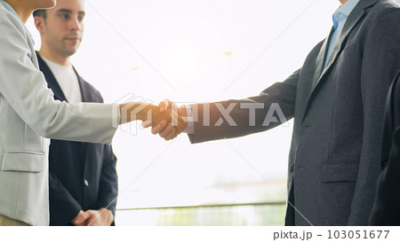 握手する多国籍ビジネスグループ 103051677
