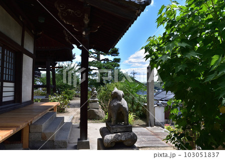 尾道・持光寺の狛犬 103051837