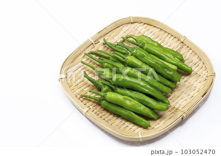 白バックでざるに乗せたししとう 103052470