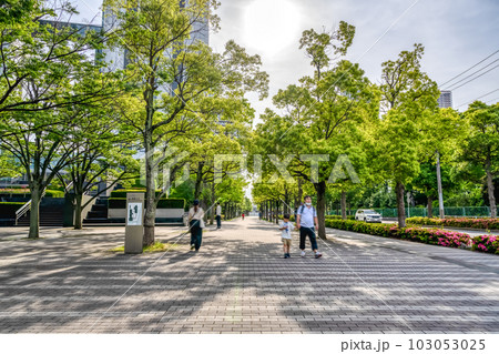川崎市の都市風景 向河原駅 川崎市の都市風景 向河原駅 103053025