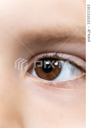 Macro brown eye of a 5-year-old kid. Pediatric ophthalmology Macro brown eye of a 5-year-old kid. Pediatric ophthalmology 103053163
