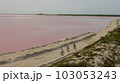 ピンクの湖でサイクリング ピンクの湖でサイクリング 103053243