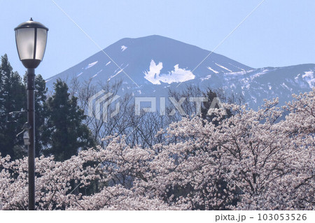 福島吾妻小富士の雪形 雪うさぎ 福島吾妻小富士の雪形 雪うさぎ 103053526