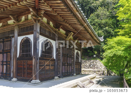 長谷寺 一切経蔵 新緑の季節(奈良県桜井市初瀬) 長谷寺 一切経蔵 新緑の季節(奈良県桜井市初瀬) 103053673