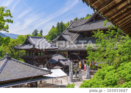 長谷寺 本堂(礼堂)・鐘楼 新緑の季節 長谷寺 本堂(礼堂)・鐘楼 新緑の季節 103053687