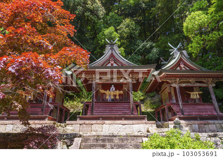 長谷寺　三社権現　新緑の季節（奈良県桜井市初瀬） 103053691