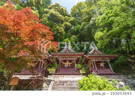 長谷寺　三社権現　新緑の季節（奈良県桜井市初瀬） 103053693
