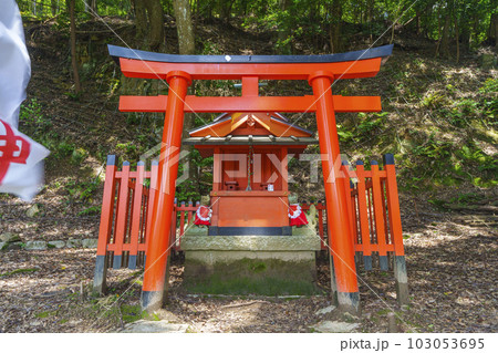 長谷寺　稲荷社　新緑の季節（奈良県桜井市初瀬） 103053695
