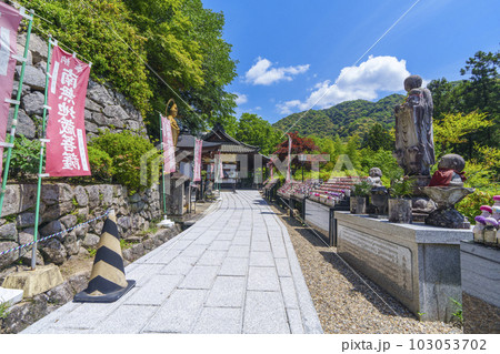 長谷寺　能満院と日限地蔵　新緑の季節（奈良県桜井市初瀬） 103053702
