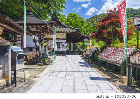長谷寺 能満院と日限地蔵尊 新緑の季節(奈良県桜井市初瀬) 長谷寺 能満院と日限地蔵尊 新緑の季節(奈良県桜井市初瀬) 103053706