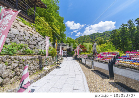 長谷寺　能満院と日限地蔵尊　新緑の季節（奈良県桜井市初瀬） 103053707