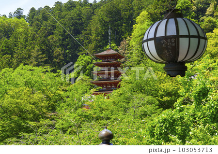長谷寺本堂の舞台から五重塔を望む（奈良県桜井市初瀬） 103053713