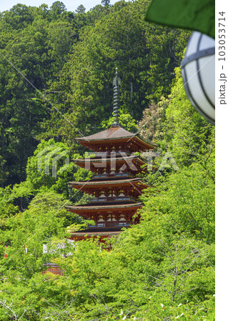 長谷寺本堂の舞台から五重塔を望む（奈良県桜井市初瀬） 103053714