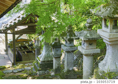 長谷寺 登廊脇にある常夜燈(奈良県桜井市初瀬) 長谷寺 登廊脇にある常夜燈(奈良県桜井市初瀬) 103053719