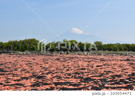 青空と富士山と桜海老 静岡 青空と富士山と桜海老 静岡 103054471