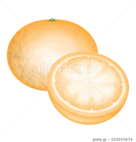 A sliced orange 103055674