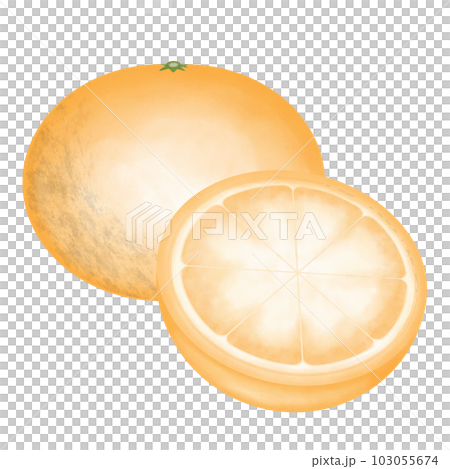 A sliced orange 103055674