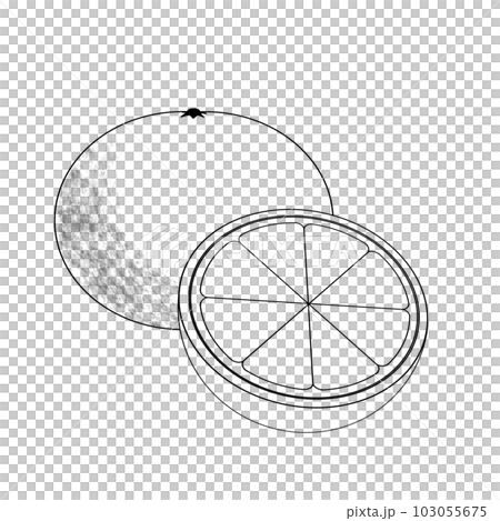 Cut out drawing of a sliced orange 103055675