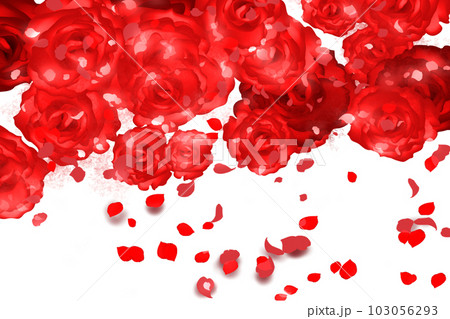 赤い薔薇と花びらカード 103056293