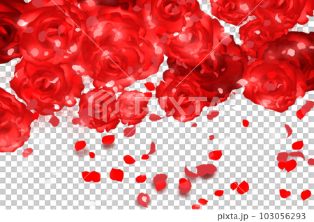赤い薔薇と花びらカード 103056293