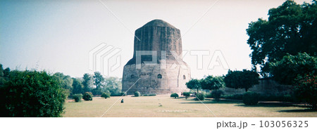 インド　サールナート　1995年1月 103056325