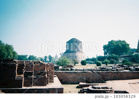 インド　サールナート　1995年1月 103056329