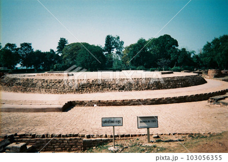 インド　サールナートのストゥーパ跡　1995年1月 103056355