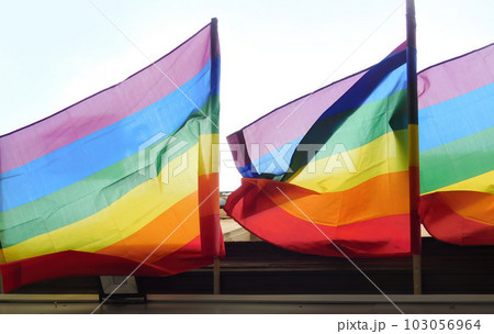 Pride rainbow lgbt gay flag being waved on sky background Pride rainbow lgbt gay flag being waved on sky background 103056964