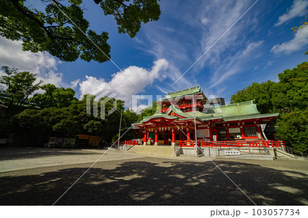 富岡八幡宮の本殿【神社イメージ】 富岡八幡宮の本殿【神社イメージ】 103057734