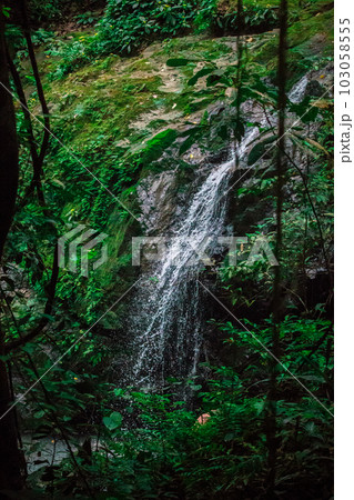 Close up of a small waterfall in Costa Rica rain forest 103058555