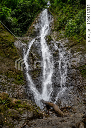 Long exposure of a waterfall in Costa Rica rain forest 103058556