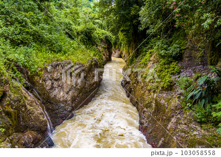 Close up of a river in Costa Rica rainforest 103058558