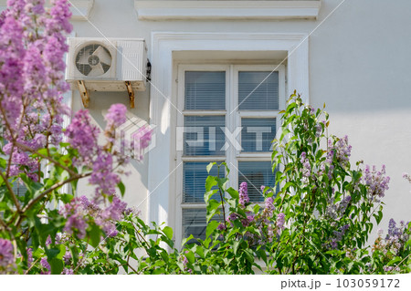 Spring lilac flowers with old wooden window and white cement wall at home Spring lilac flowers with old wooden window and white cement wall at home 103059172