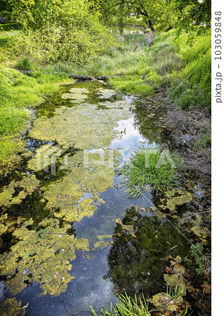 Manor park in Dolna Krupa, Slovakia 103059848