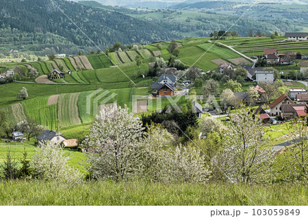 Historic agrarian landscape, Hrinovske lazy, Slovakia Historic agrarian landscape, Hrinovske lazy, Slovakia 103059849