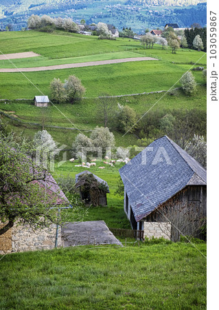 Historic agrarian landscape, Hrinovske lazy, Slovakia Historic agrarian landscape, Hrinovske lazy, Slovakia 103059867