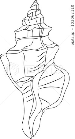 Seashells illustration in a set of silhouette vector graphics 103062110
