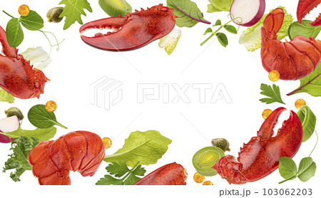 Seafood frame, lobster claws and tails isolated on white background 103062203
