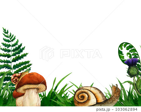 Watercolor hand drawn wild forest mushrooms porcini. Nature forest lawn scene. Wild fern landscape element. Isolated eco natural food vegetables illustration on white background Watercolor hand drawn wild forest mushrooms porcini. Nature forest lawn scene. Wild fern landscape element. Isolated eco natural food vegetables illustration on white background 103062894