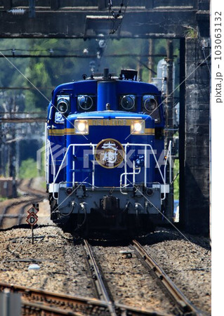 新緑の鬼怒路をプッシュプル列車が行く…DL大樹『PP運転』 103063132
