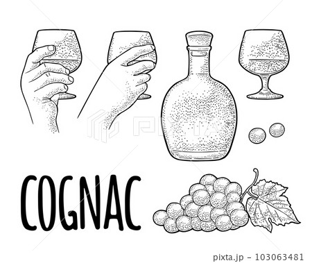 Glass, barrel and bottle of cognac. Vintage engraving illustration Glass, barrel and bottle of cognac. Vintage engraving illustration 103063481