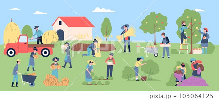 People working on farm. Rural agriculture scene, harvest and picking eco vegetables. Gardening seasonal farmers, workers recent vector concept 103064125