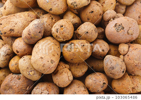 Expanded clay. small lumps of clay used in construction and for growing plants. 103065486